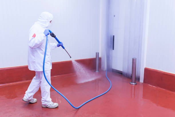 Best Patio and Deck Pressure Washing  in River Park, FL