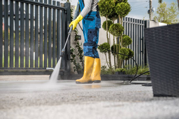 Best House Exterior Washing  in River Park, FL