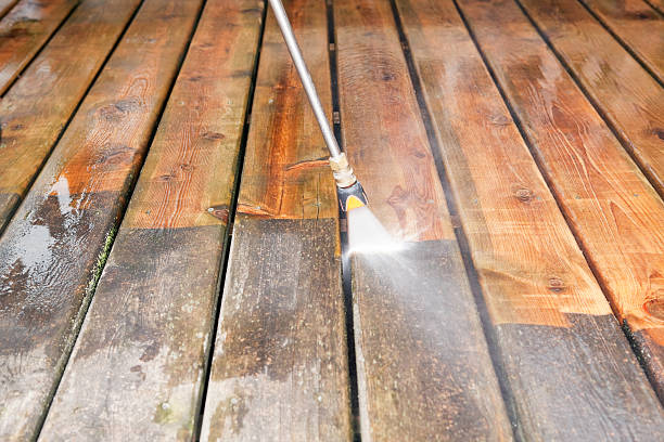 Best Roof Washing  in River Park, FL