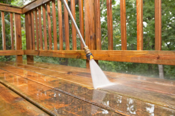 Best Sidewalk and Walkway Cleaning  in River Park, FL